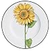 Villeroy & Boch Flora Speiseteller 27cm Tournesol