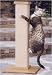 Ultimate Scratching Post