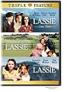 Lassie Come Home...
