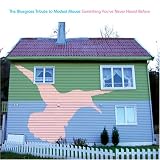 The Bluegrass Tribute to Modest Mouse : Something You've Never Heard Before