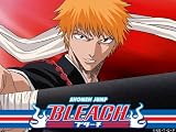 Bleach: The Entry