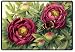 Kitchen & Housewares : Peonies Doormat Rug Art By Persis Clayton