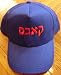 Chicago Cubs Hebrew Baseball Cap