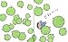 ヘンなあさ (キラキラえほん 7) 別画像