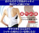 ぐいっと背筋ベルト L Lpo