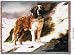 Saint Bernard Throw - 70 x 54 Blanket/Throw