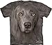 Mountain Weimaraner Adult Size T-shirt , Gray , Large