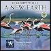 A New Earth 2016 Wall Calendar