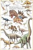 THE JURASSIC ERA OF THE DINOSAUR! COLORFUL LAMINATED DINOSAUR EDUCATIONAL POSTER - CHART!