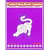 Practical Chinese Reader, Companion A  (Traditional Character Edition) (Traditional Character Editions)