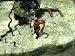 Icewind Dale: The Collection