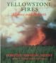Yellowstone Fires: Flames and Rebirth