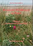 Wonderful Wildflowers of Wales: Seashores and Coastal Cliffs v. 2