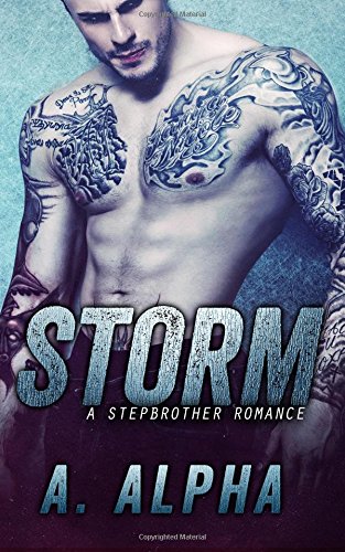 storm a stepbrother romance