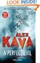 A Perfect Evil (Maggie O'Dell Novels)