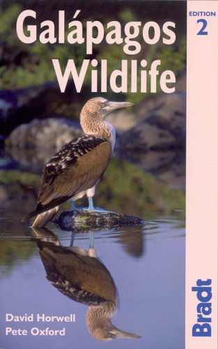 City Travel Guides Discounted  Livres : Galapagos Wildlife