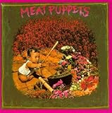 Review Meat Puppets  / Meat Puppets