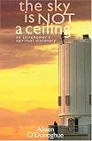 The Sky Is Not a Ceiling: An Astronomer s Faith