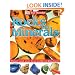 Rocks and Minerals (Eye Wonder)