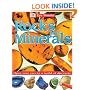 Rocks and Minerals (Eye Wonder)