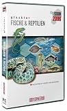Glasklar Lexikon 2006 - Fische & Repilien - 