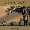 Dreamscapes:  Exploring Photo Montages