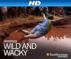 America Wild and Wacky [HD]: America Wild and Wacky Season 1 [HD]