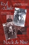 Red White Black & Blue: Dual Memoir Of Race & Class In Appalachia (Ethnicity & Gender In Appalach)