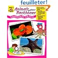 terrarium jar Animals Without terrarium jar Animals Without