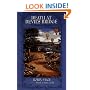 Death at Devil's Bridge (Robin Paige Victorian Mysteries, No. 4)