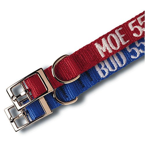 best dog collars