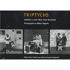 Triptychs: Buffalo's Lower West Side Revisited