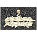 LogoArt Carolina Panthers 3/8 10K Gold Charm