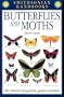 Butterflies and Moths (Smithsonian Handbooks (Sagebrush))