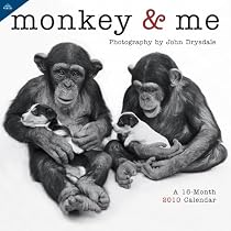 Monkey & Me 2010 Wall Calendar