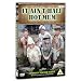 It Ain't Half Hot Mum - Complete Fourth Series [1976] [DVD]