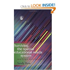 Surviving the Special Educational Needs System: How to be a Velvet Bulldozer