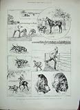1888 CHARLES WARREN POLICE BLOODHOUNDS DOGS HYDE PARK
