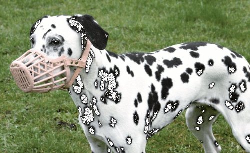 Trixie Maulkorb, Kunststoff, Größe L, 26 cm, natur