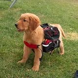 Mountainsmith Dog Pack – Medium img