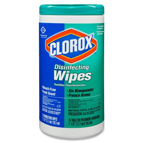 Clorox Fresh Scent Disinfecting Wipes (One Canister, 75 Wipes)
