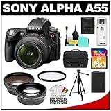 Sony Alpha SLT-A55 Translucent Mirror Technology Digital SLR Camera Body &  ....