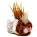 51MGgm1BBZL. SL75  Zhu Zhu Pets Hamster Toy Chunk with ClipOn Bunny Ears