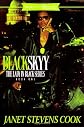 Black Skyy (The Lady in Black)