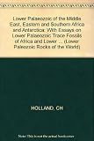 Lower Palaeozoic of the Middle East, eastern and southern Africa, and Antarctica : with essays on Lower Palaeozoic trace fossils of Africa and Lower Palaeozoic palaeoclimatology