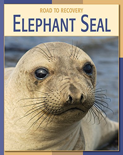 Elephant Seal (21st Century Skills Library: Road to Recovery)
