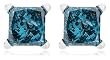 14k White Gold Princess-Cut Blue Diamond Stud Earrings (3/8 cttw)