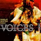 Click here to buy Voices by Douglas Spotted Eagle .