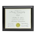 Document Frame - Black/Goldtone (8.5x11")