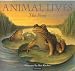 Frog (Animal Lives)